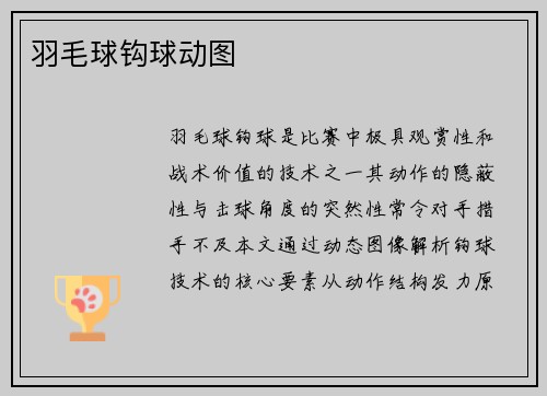 羽毛球钩球动图